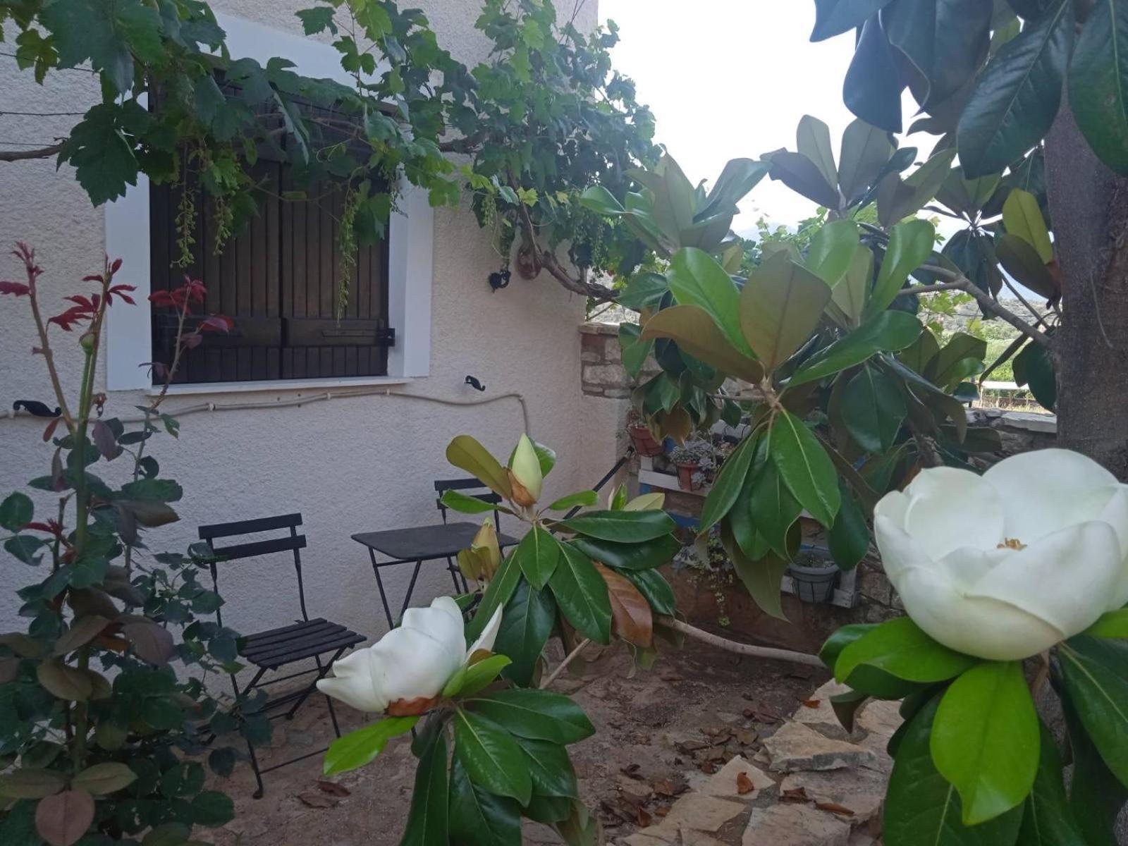 Pontinos Villa มิลอย ภายนอก รูปภาพ