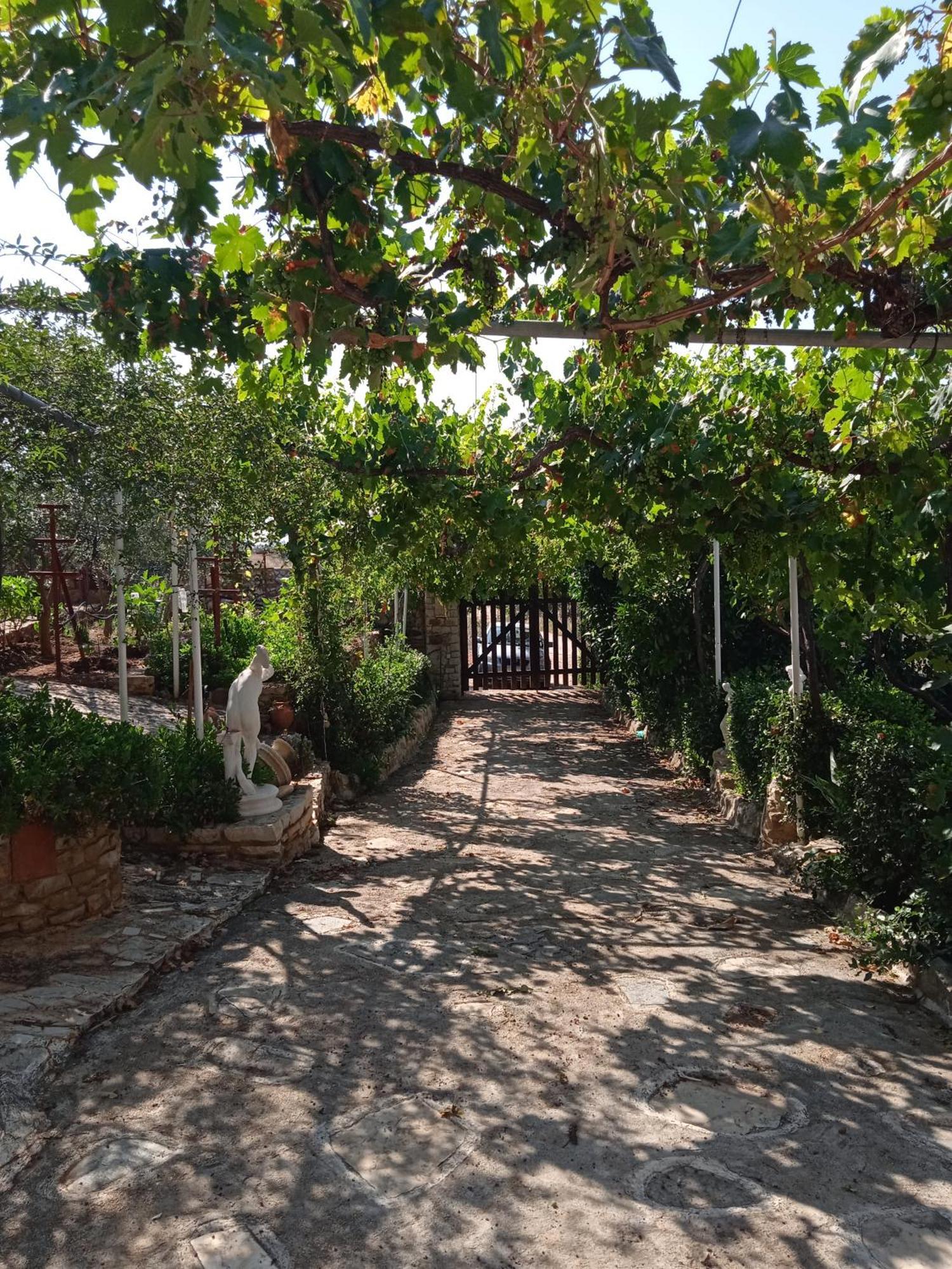 Pontinos Villa มิลอย ภายนอก รูปภาพ
